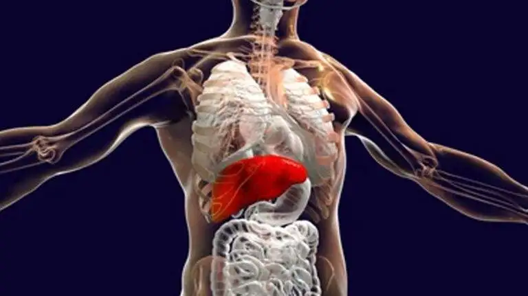Hepato-Biliary Procedures