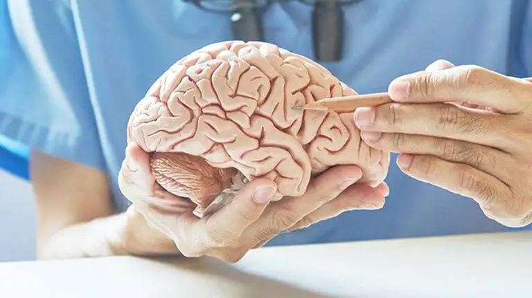 Neurology & Stroke Care