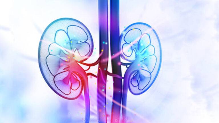 Nephrology & Urology (Excretory System)